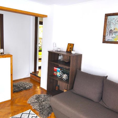 Buşteni Casa Texヴィラ エクステリア 写真