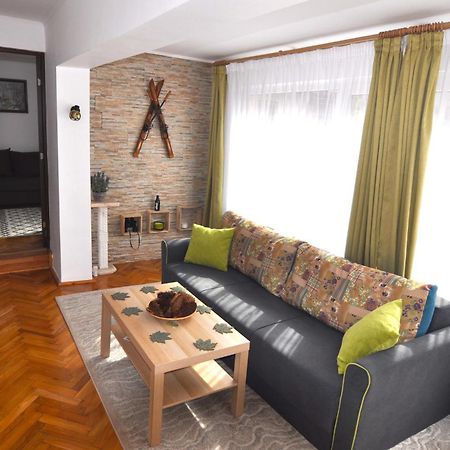 Buşteni Casa Texヴィラ エクステリア 写真