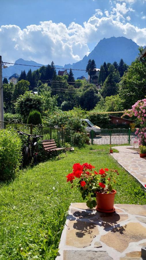 Buşteni Casa Texヴィラ エクステリア 写真