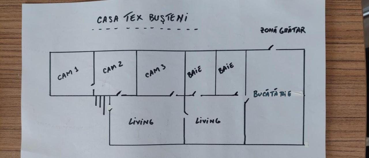 Buşteni Casa Texヴィラ エクステリア 写真