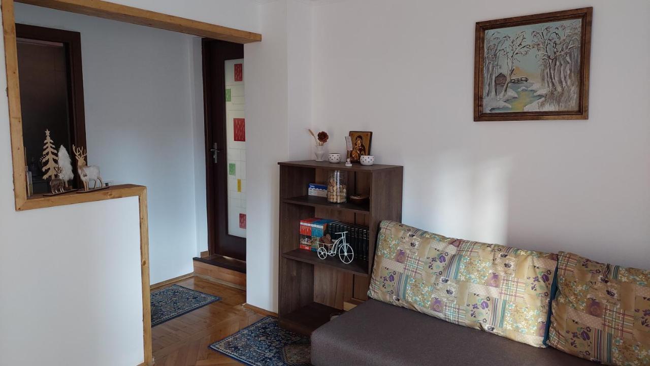 Buşteni Casa Texヴィラ エクステリア 写真