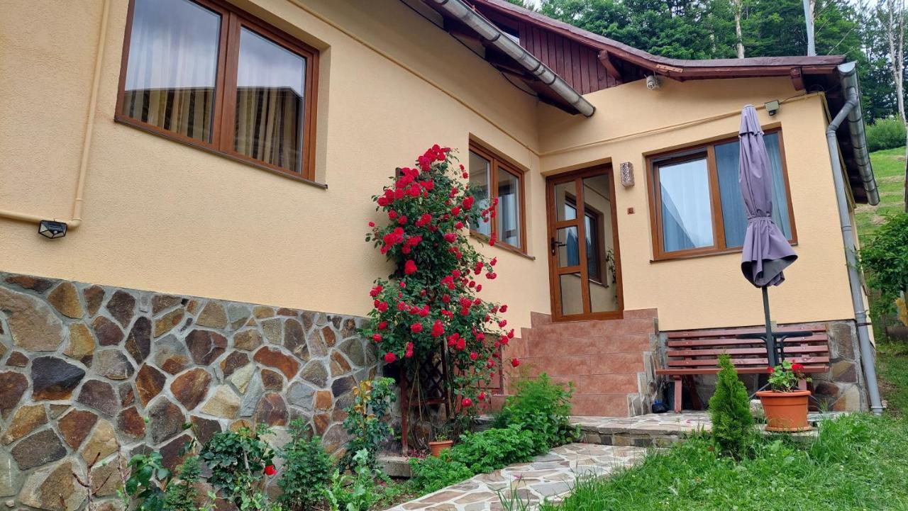 Buşteni Casa Texヴィラ エクステリア 写真