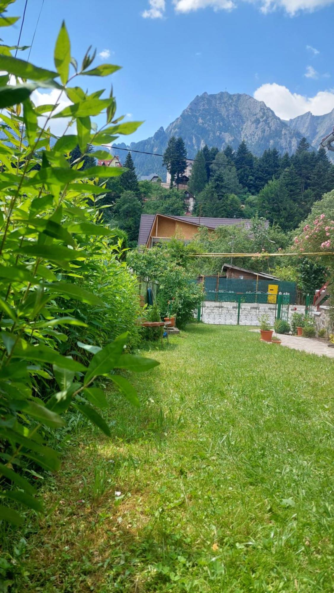 Buşteni Casa Texヴィラ エクステリア 写真