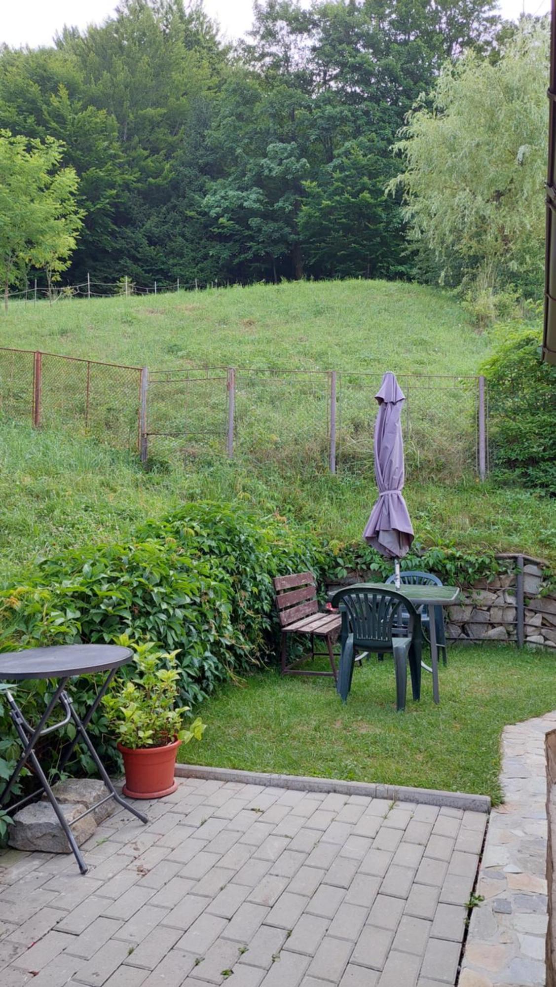Buşteni Casa Texヴィラ エクステリア 写真